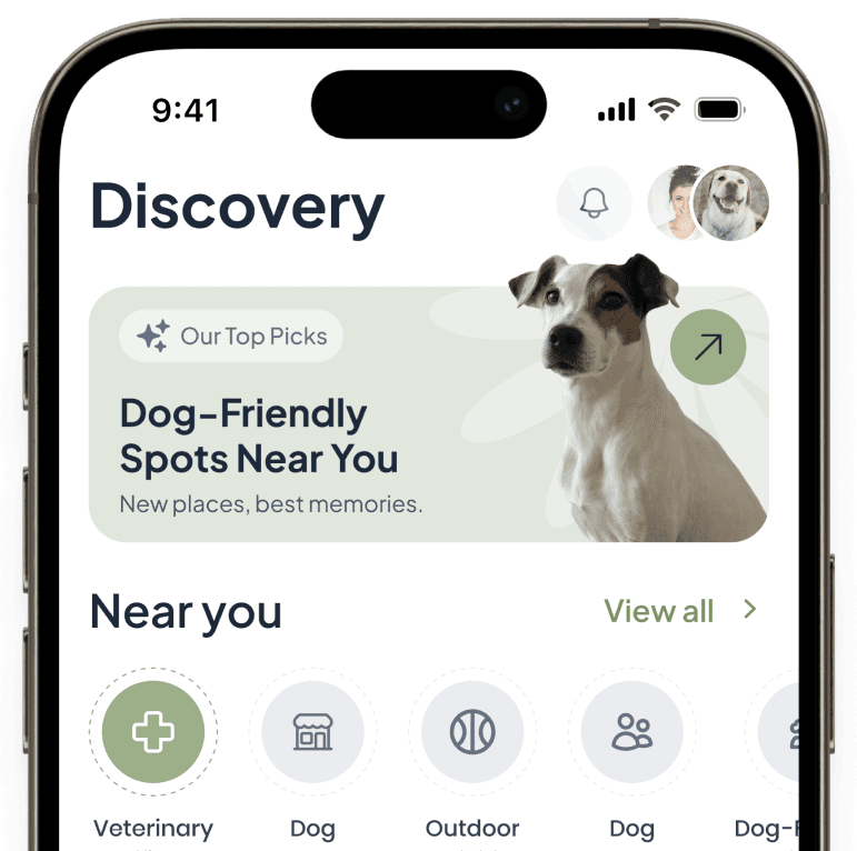 GoFetch Discovery screen