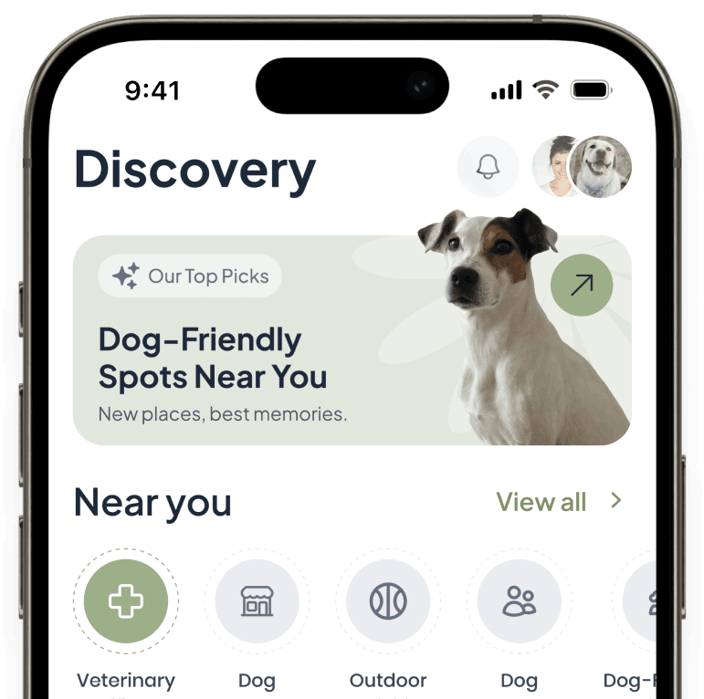 GoFetch Discovery screen