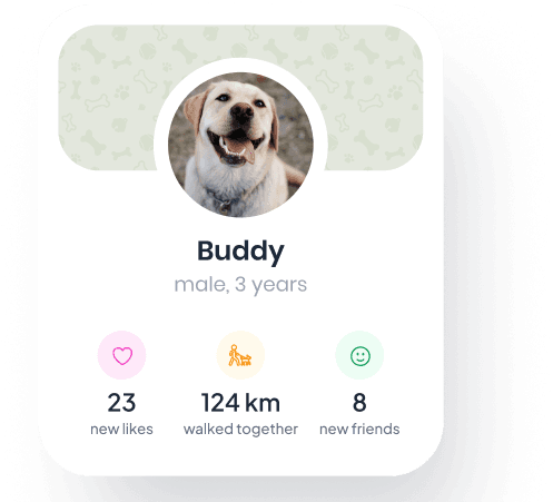 GoFetch buddy