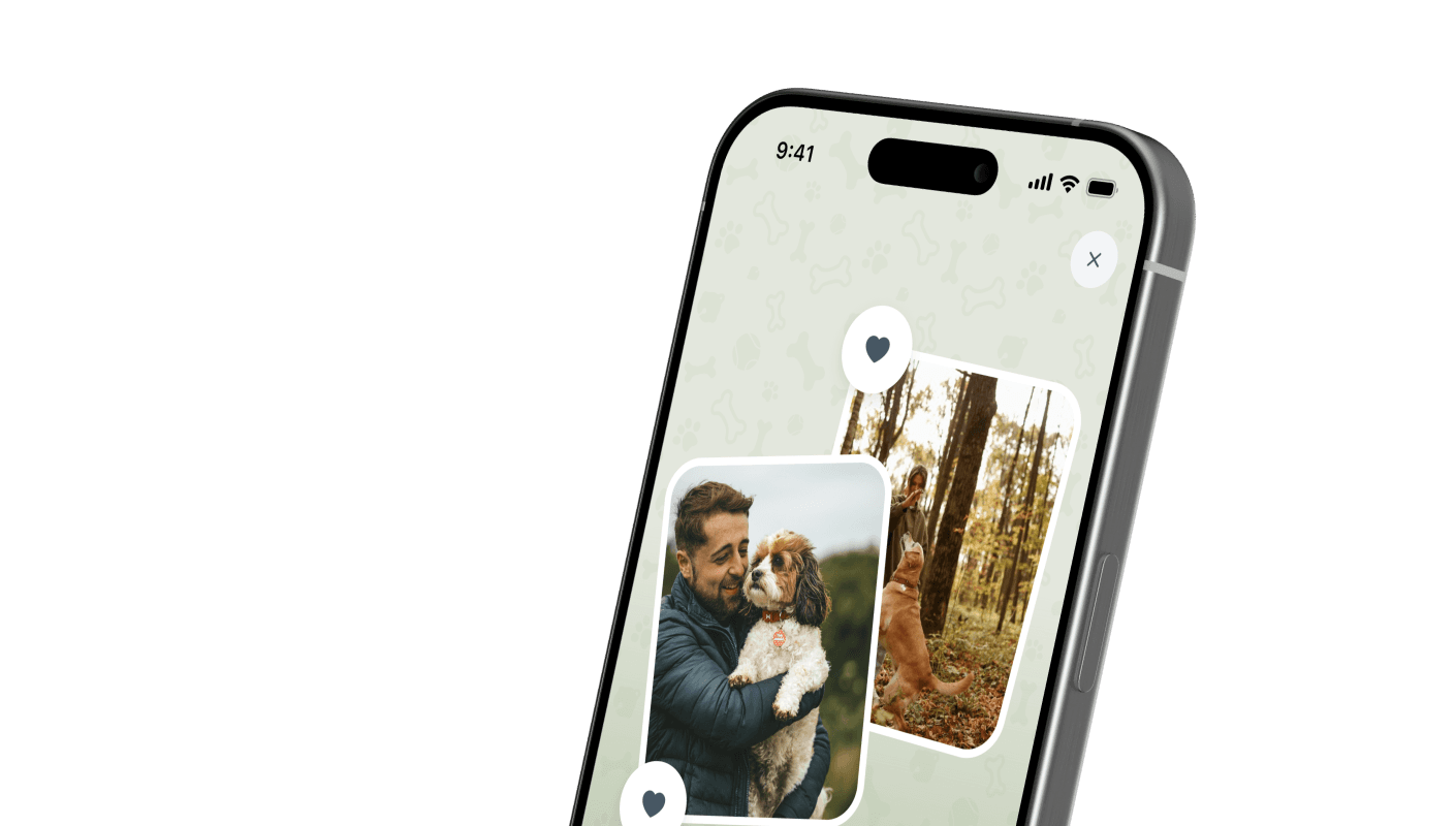 GoFetch Discover and Connect screen